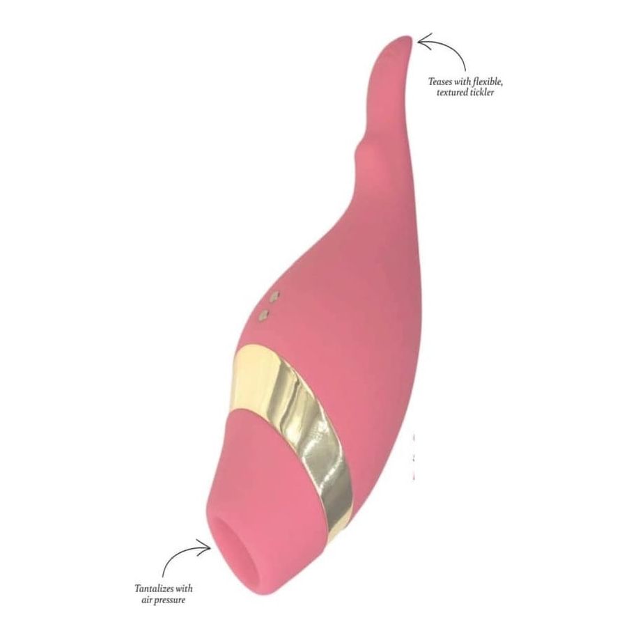 clitorial air and vibration